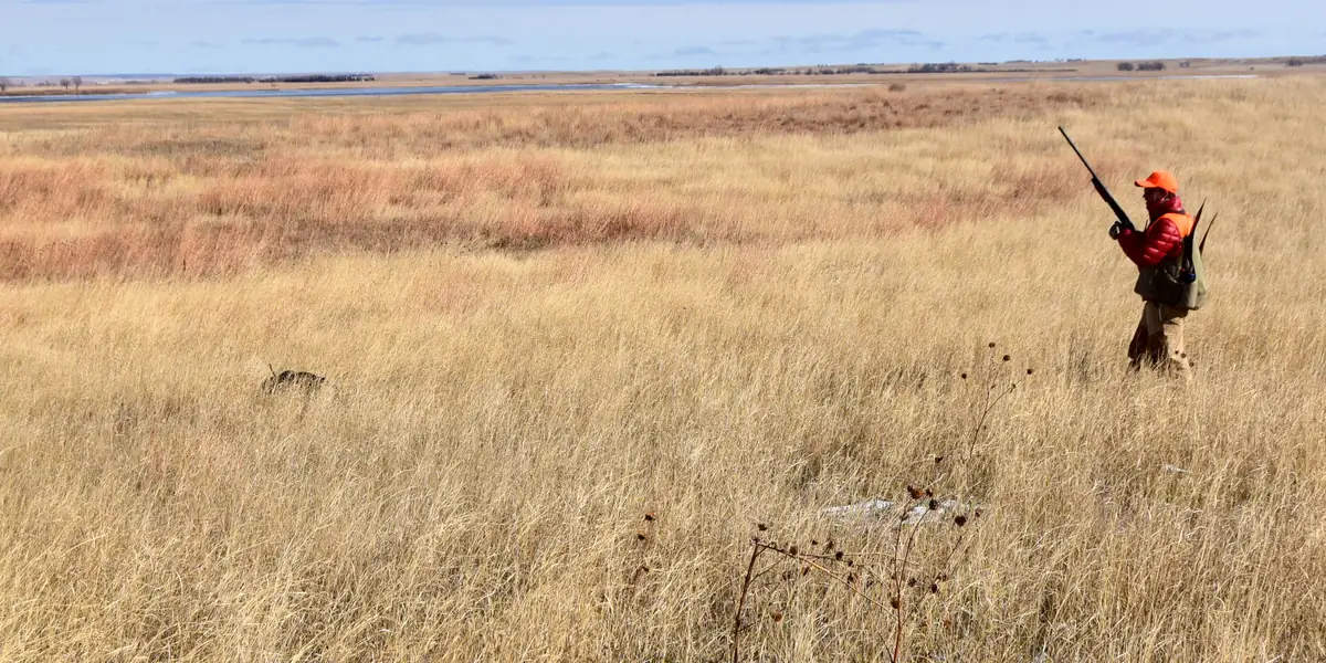 Hunter in blaze orange walking through tall golden prairie grass on a national wildlife refuge