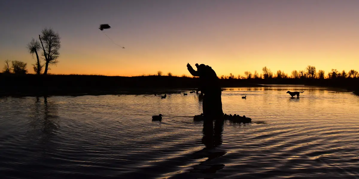 Duck hunter silhouetted in a marsh at sunrise with decoys and a retriever